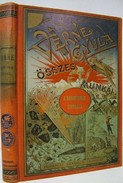 Verne Gyula  -  A Robinsonok iskolája.