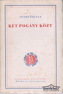 Szabó Zoltán - Két pogány közt