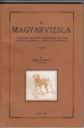 Vadászat / Bába Károly - A magyarvizsla