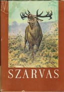 Vadászat / Szederjei  Ákos, dr. - Szarvas