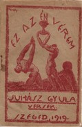 Juhász Gyula - Ez az én vérem